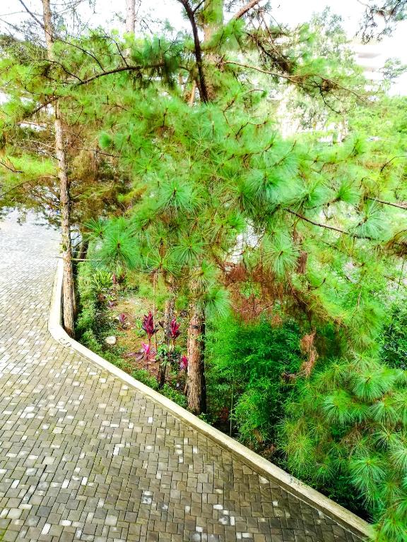 Surrounding environment
