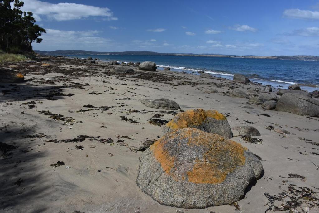 Beachside Taroona with Spa photo