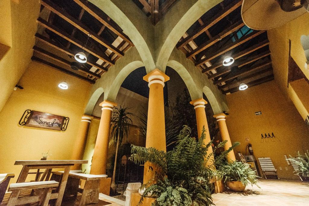 Snail Bed &amp; Breakfast — Hotel in San Cristobal De Las Casas