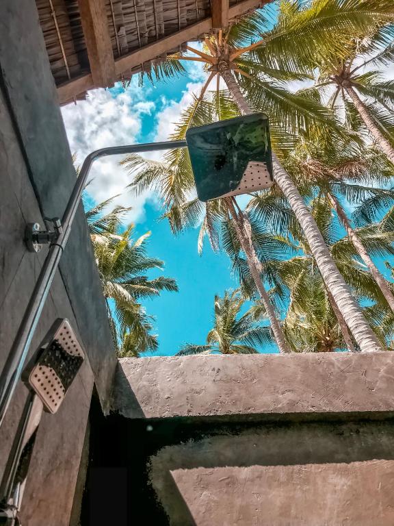 Bermuda Triangle Bungalows photo
