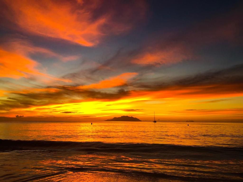 Whispering Palms photo