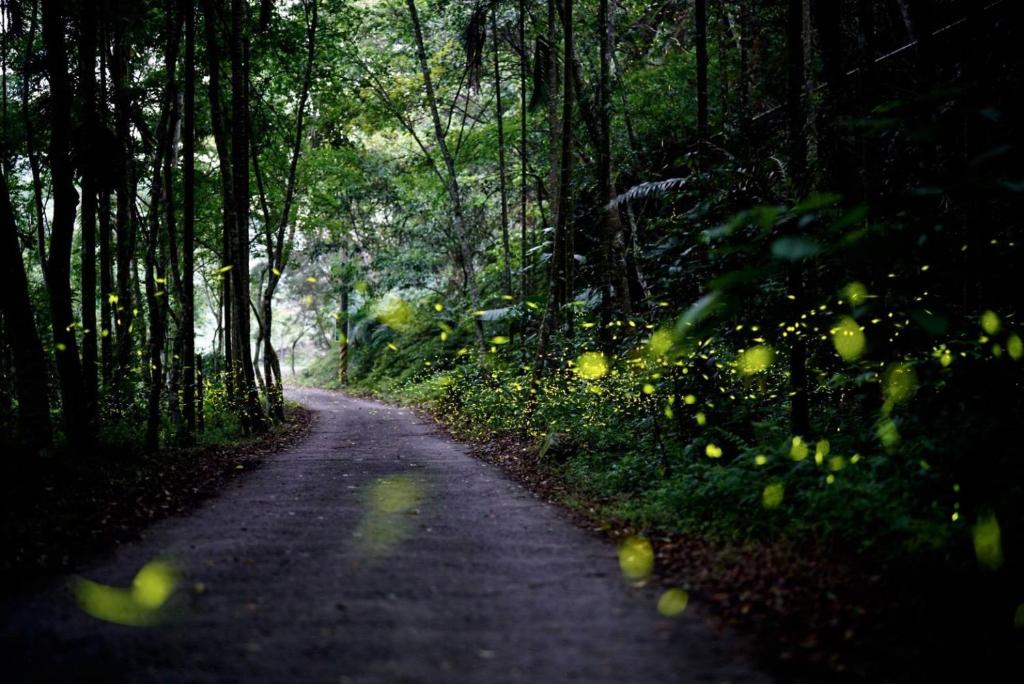 Haowangjiao Homestay 호텔 이미지 2