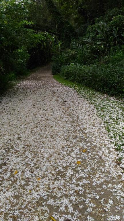 Haowangjiao Homestay 호텔 이미지 2