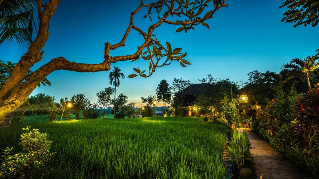 ทัศนียภาพ