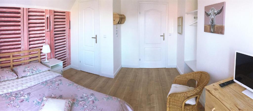 Marea Apartamenty Ustka photo