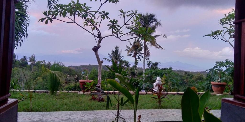 Mount Sea View Bungalow