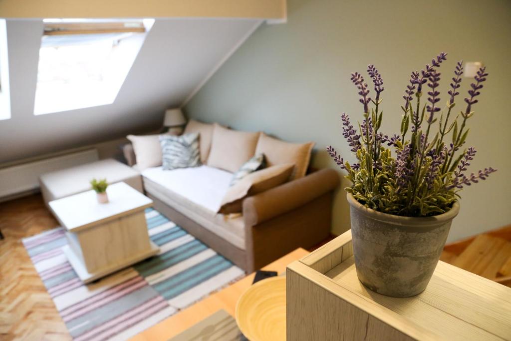 Hann Apartments — Hotel in Novi Sad