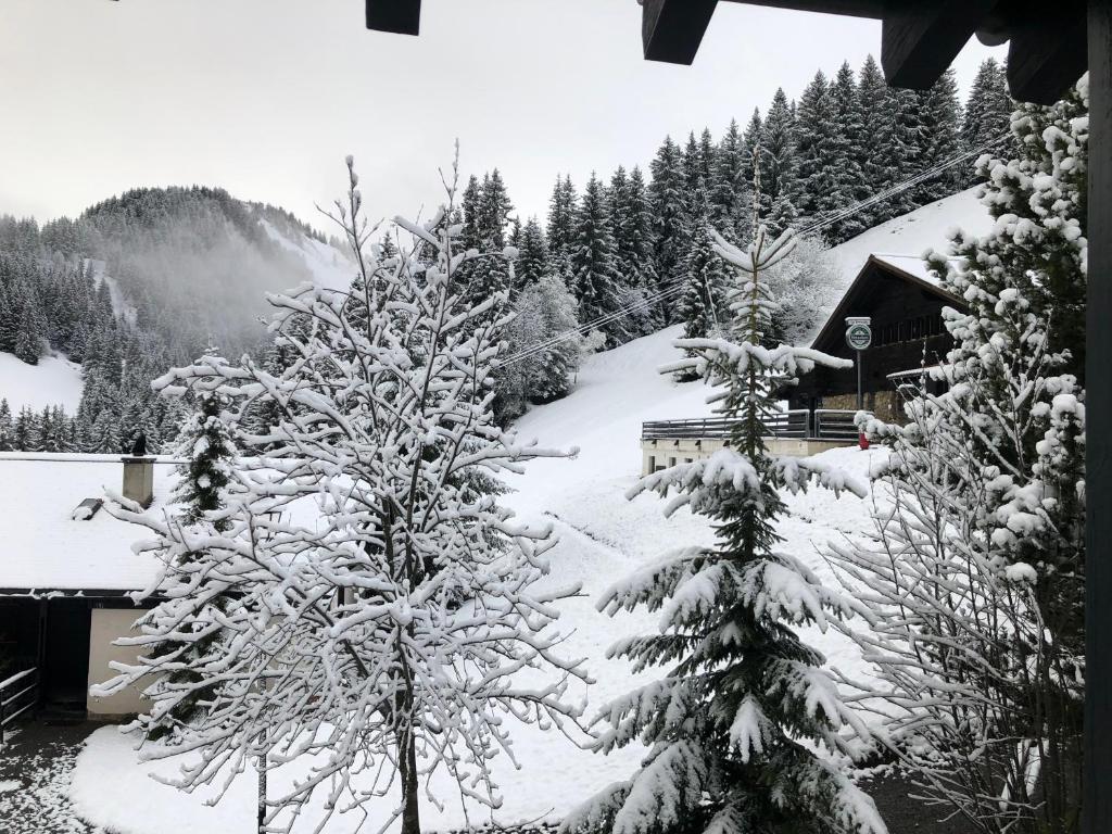 Chalet LYS Apartment 14 Rue Sigma - 5
