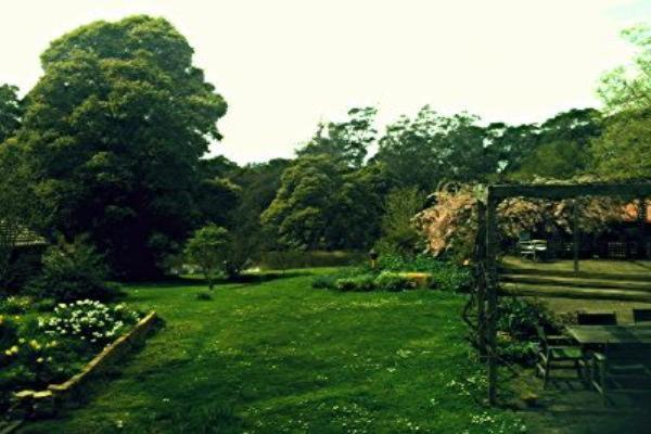 Birdwing Bed and Breakfast photo