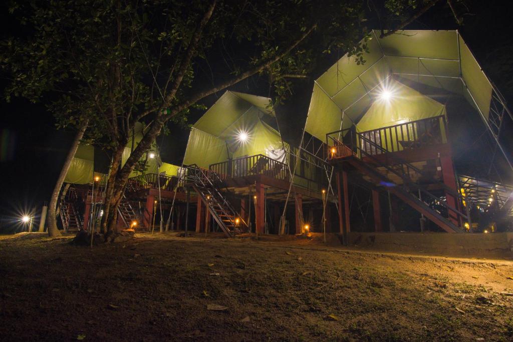 360 Rainforest                                                                                   photo