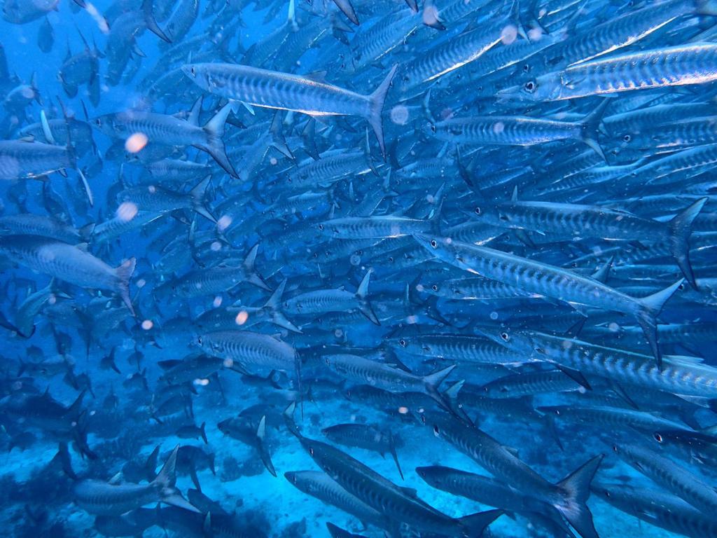 กีฬาและกิจกรรมสันทนาการ