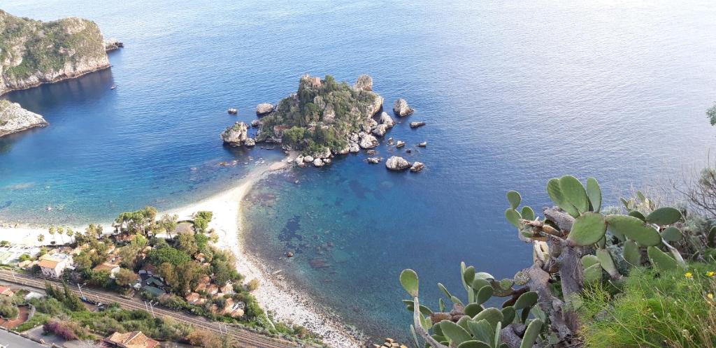 Surrounding environment