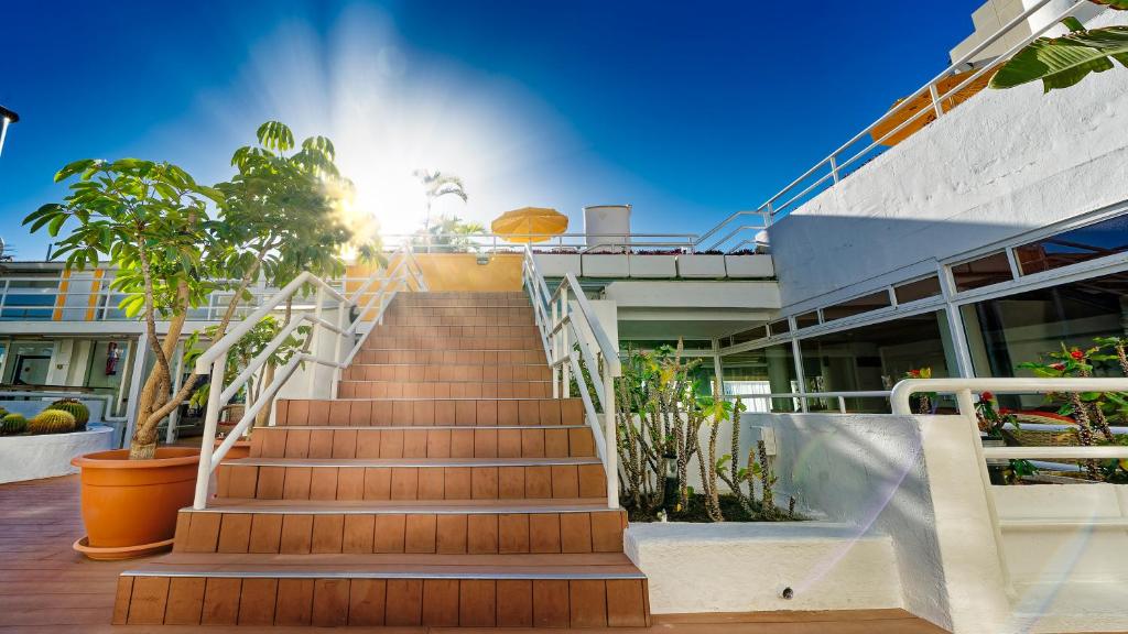 Bull Astoria Photo 2