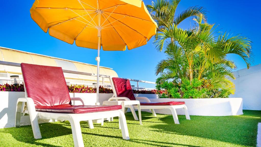 Bull Astoria Photo 4