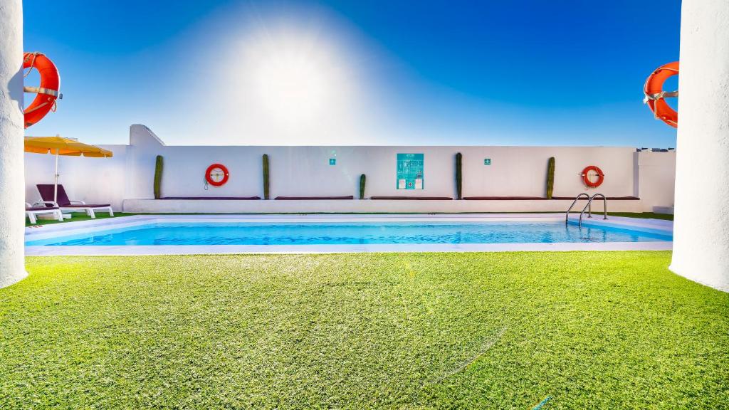 Bull Astoria Photo 6