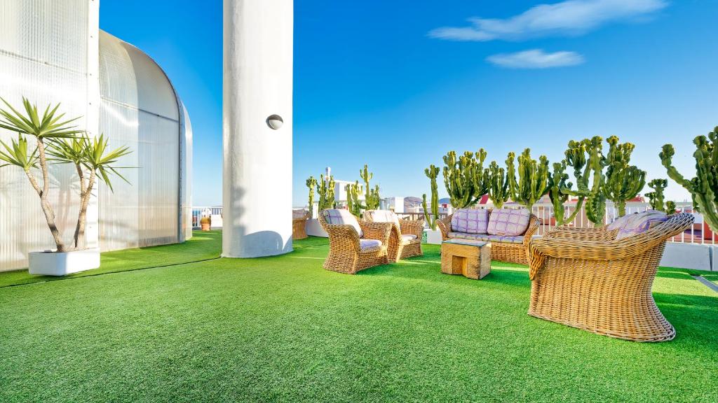 Bull Astoria Photo 7