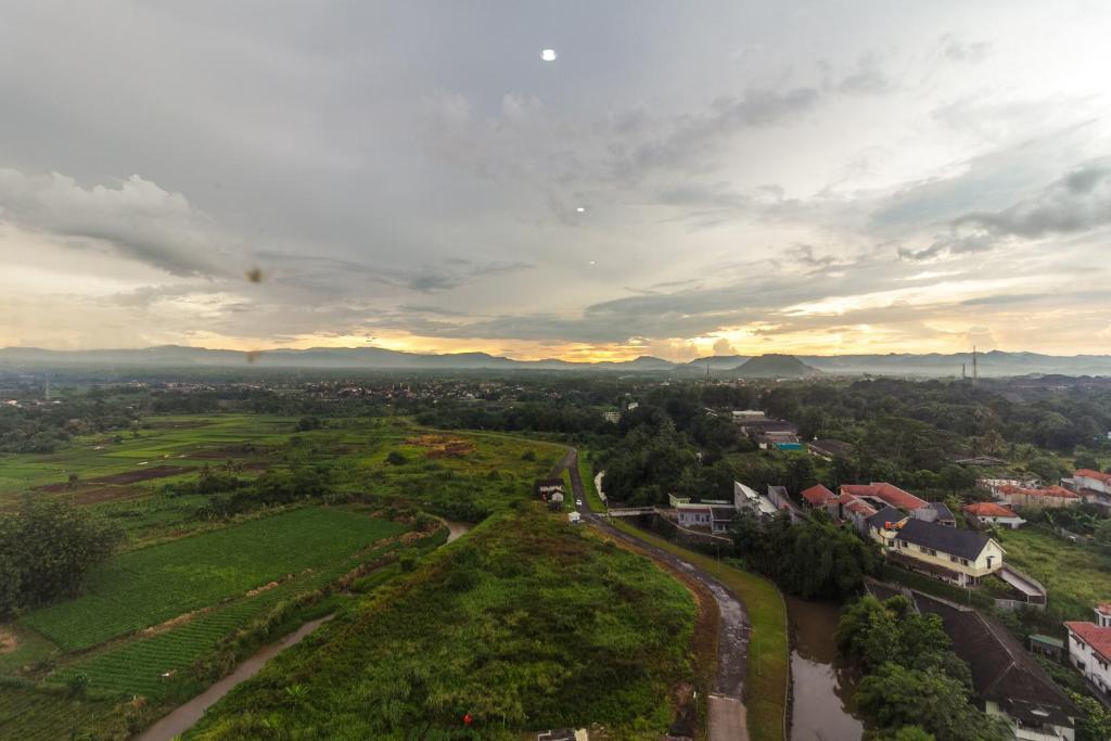 View