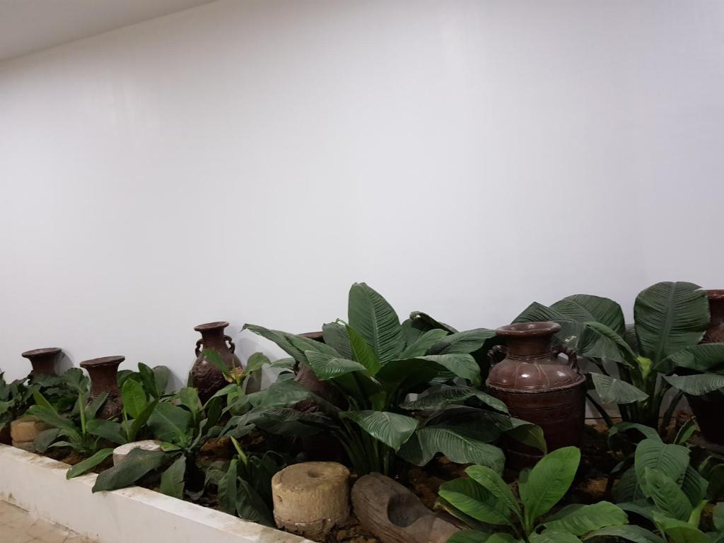B&S Orchids suites hotel photo