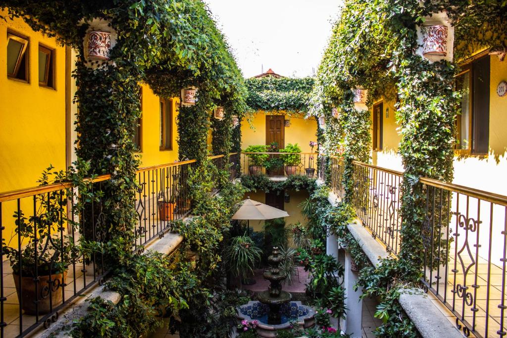 Hotel Dainzu photo