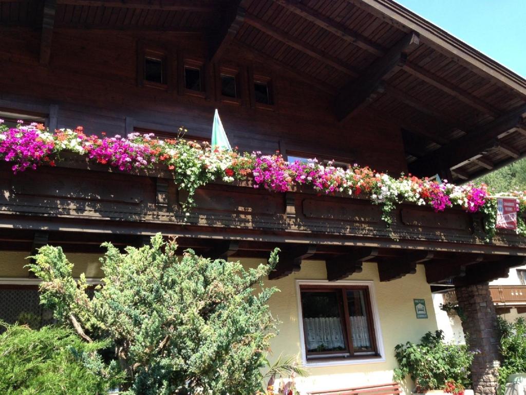 Haus Tenk - 2