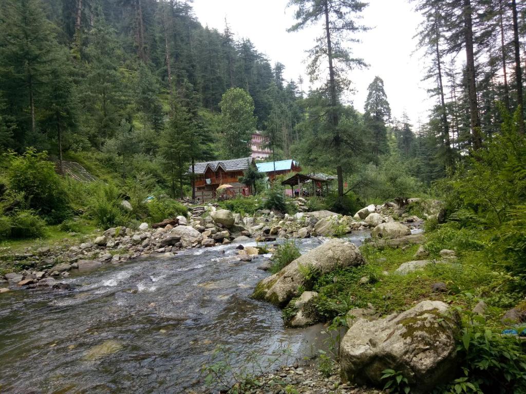 Pinewood Cottage In Jibhi India 10 Reviews Prices Planet Of Hotels
