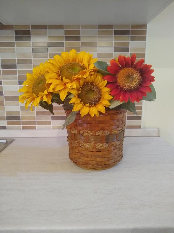 Casa dei Girasoli - 2