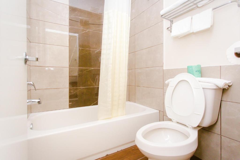 scottish inn & suites photo