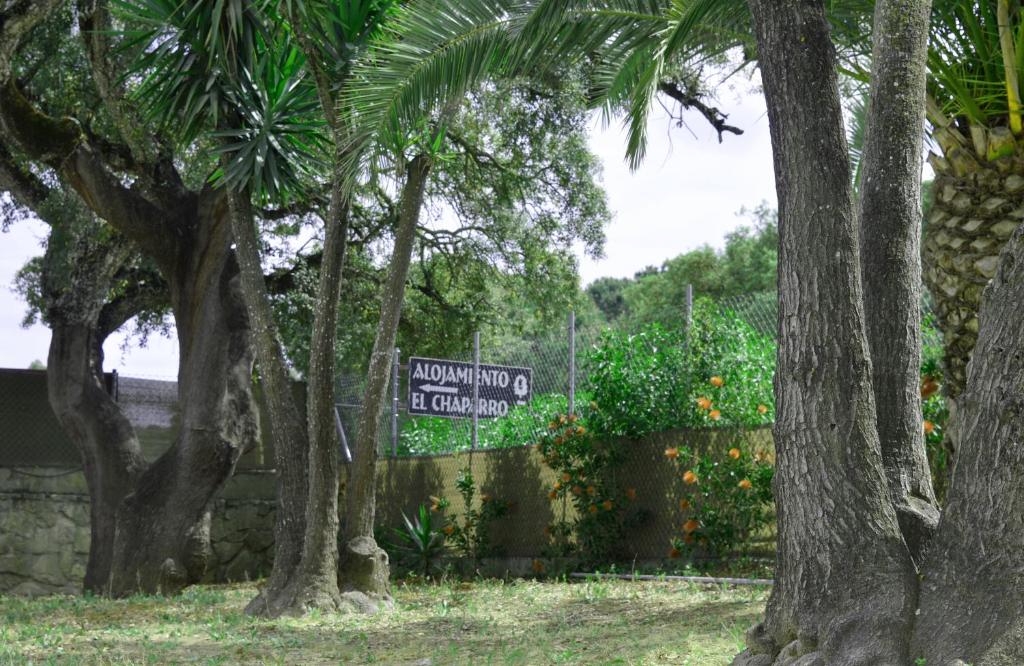 Alojamiento el Chaparro Barbate junto a la venta el loro - 3