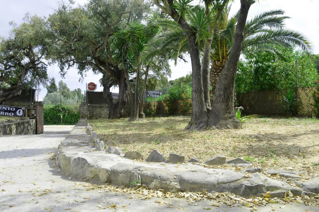 Alojamiento el Chaparro Barbate junto a la venta el loro - 4