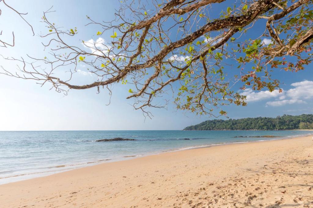 Eden Beach Khao Lak Resort & Spa — Khao Lak, Phang Nga
