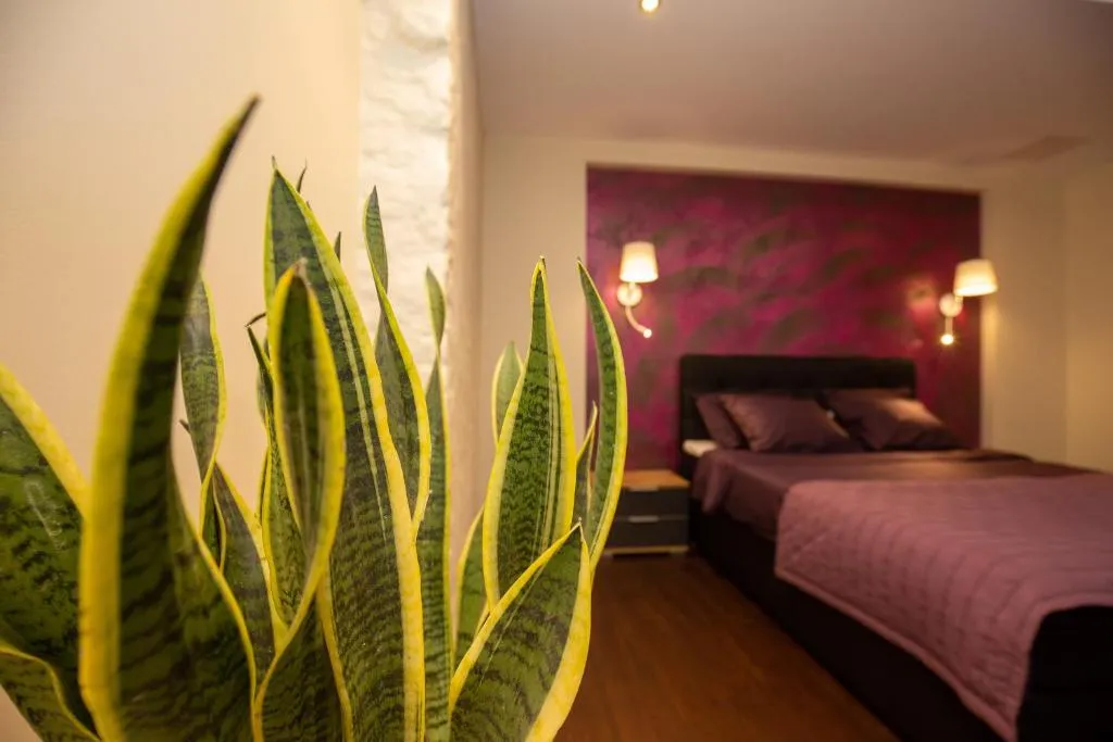 P54 Apartment, hotel v destinaci Paide