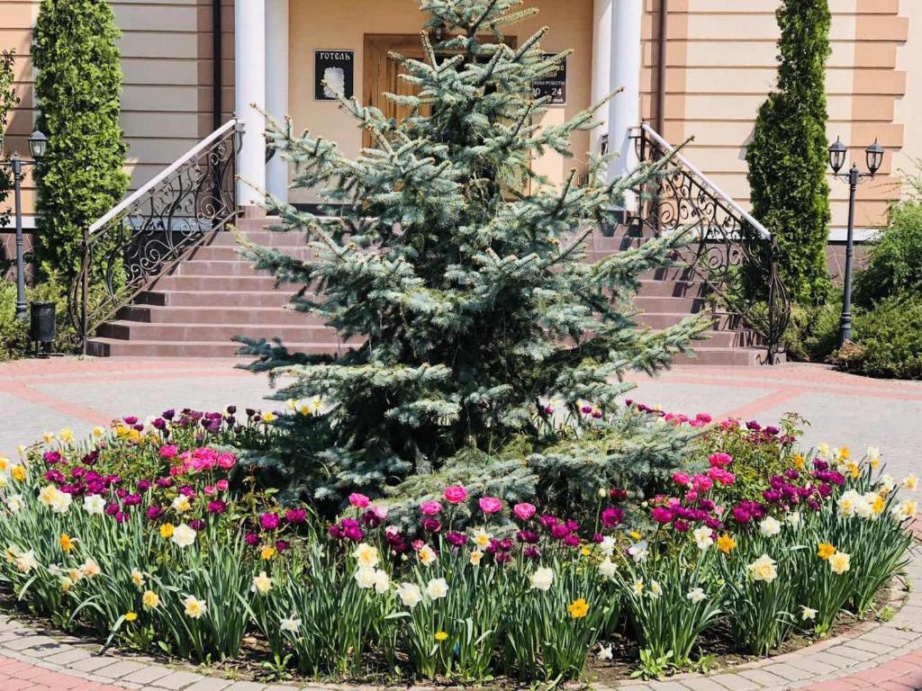 Petrovskyi Brovar photo