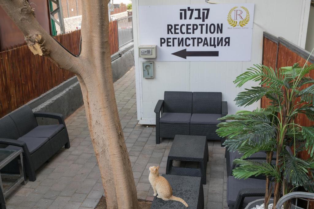 ردهة