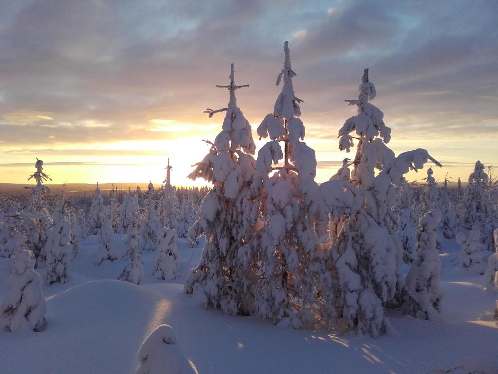 Surrounding environment