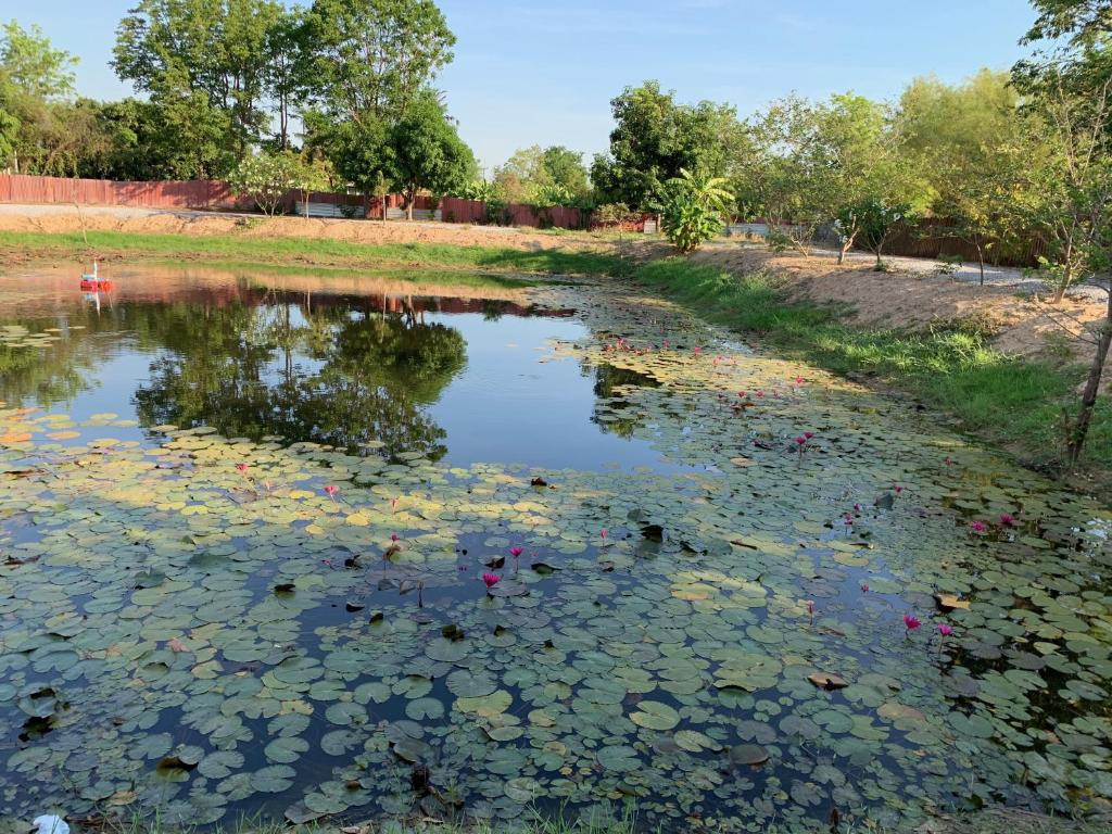 Surrounding environment