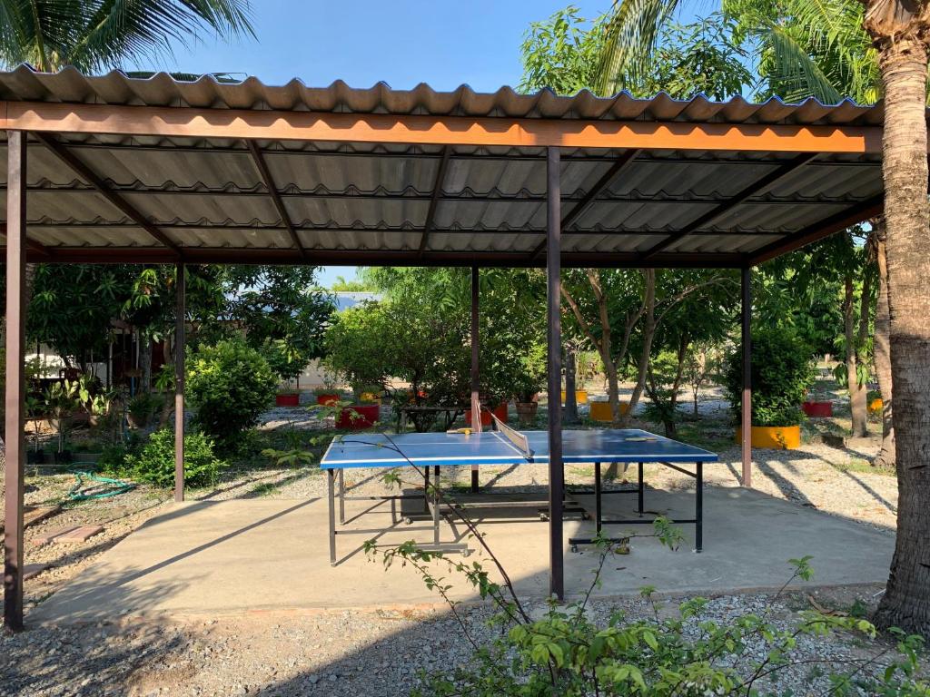 Sports and activities