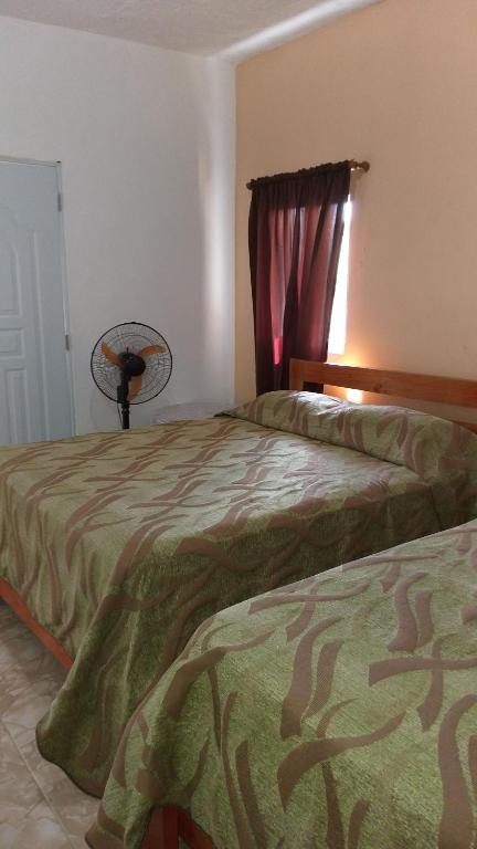 Apartamento con vistas al jardín