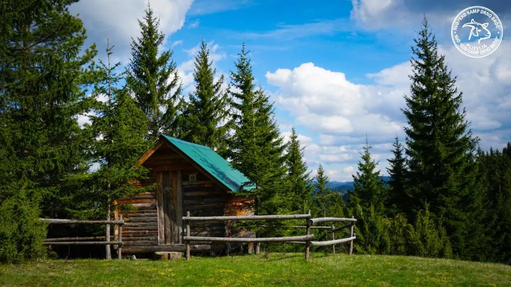 Eco Camp Drno Brdo，位于Kosanica的酒店