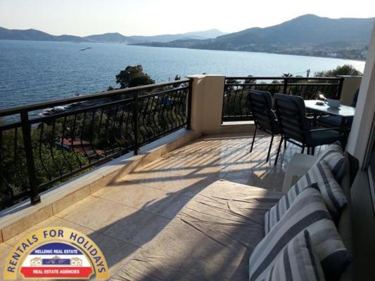 HELLENIC ESTATE SUITES photo