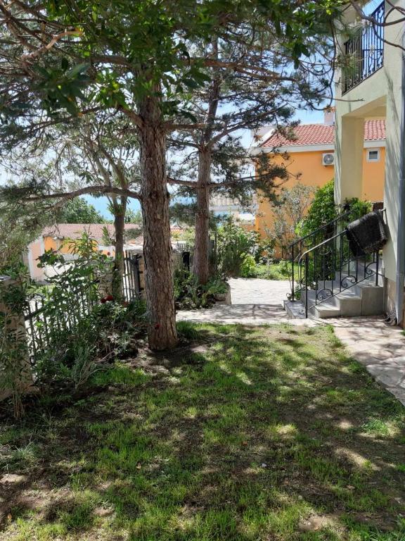 Vila Maljevik photo