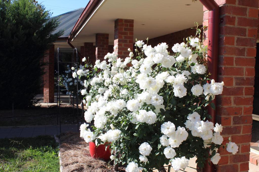 Gundaroo Manor Bed & Breakfast photo