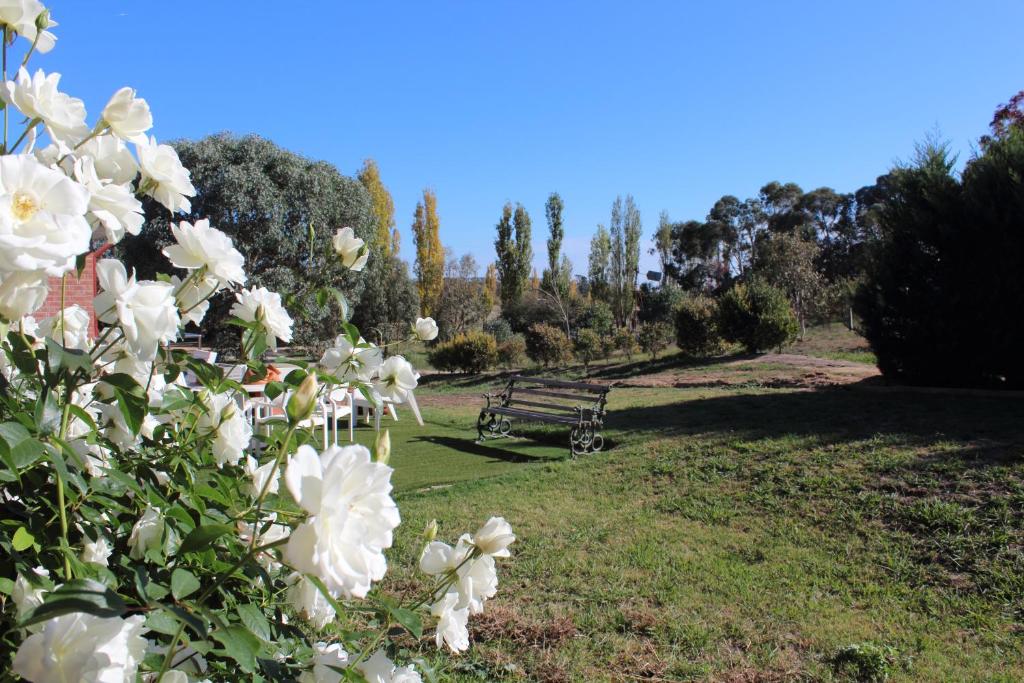 Gundaroo Manor Bed & Breakfast photo