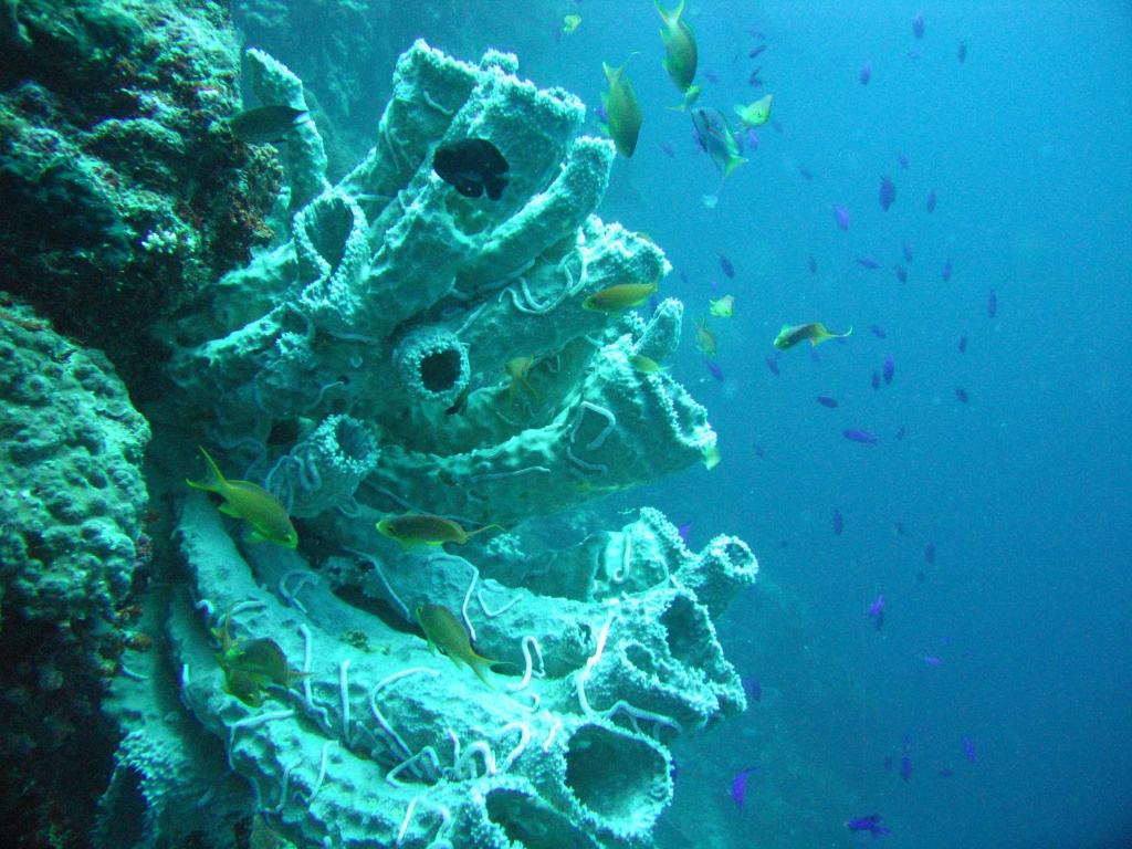 Sports and activities