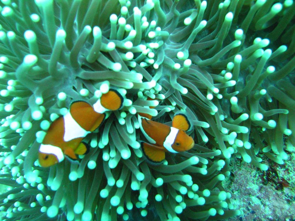 Sports and activities