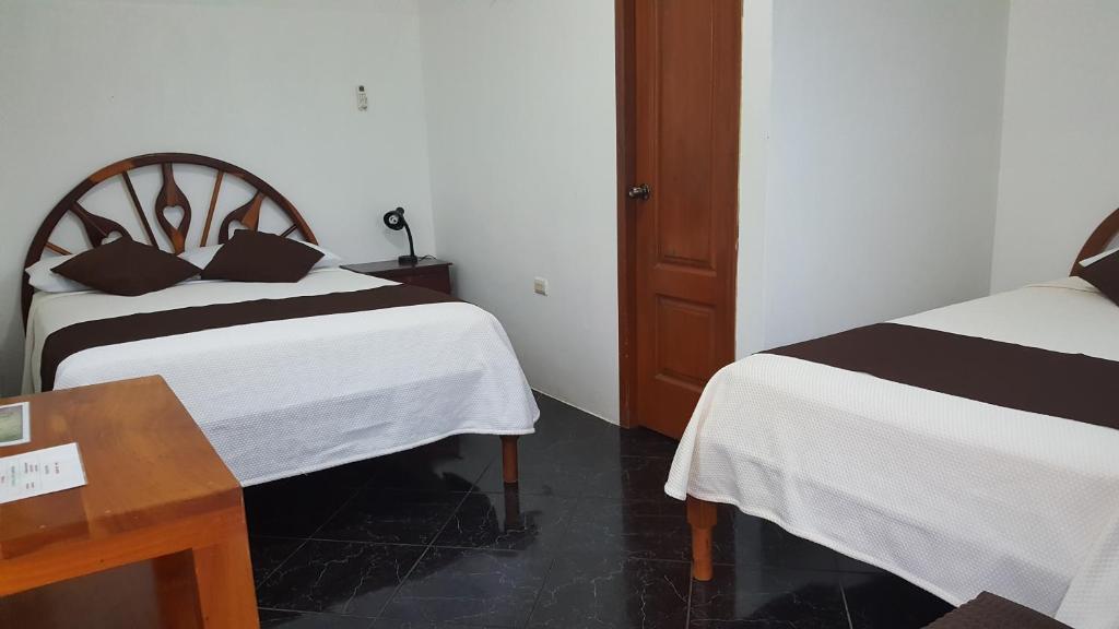 Hotel La Jungla photo