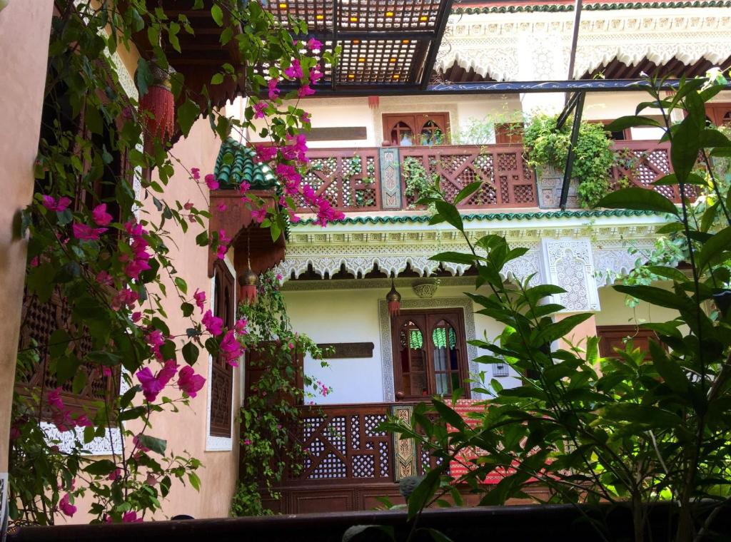 Riad Toyour- Riad of birds photo