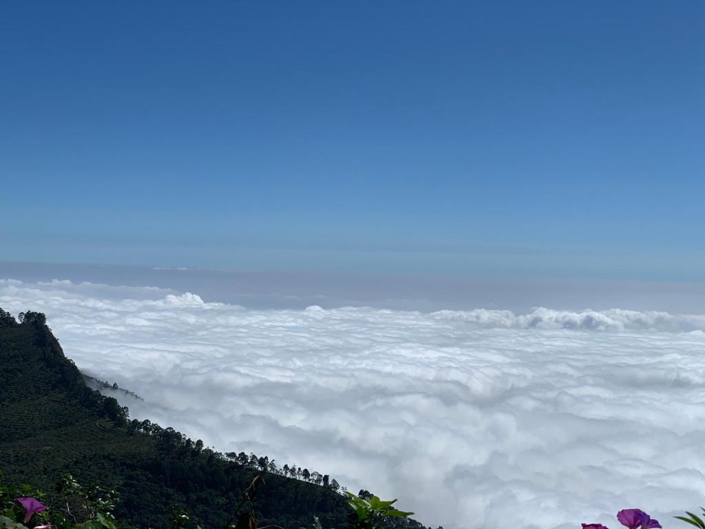 Surrounding environment