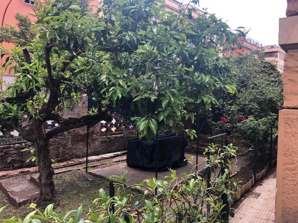 Villa Ella - 3
