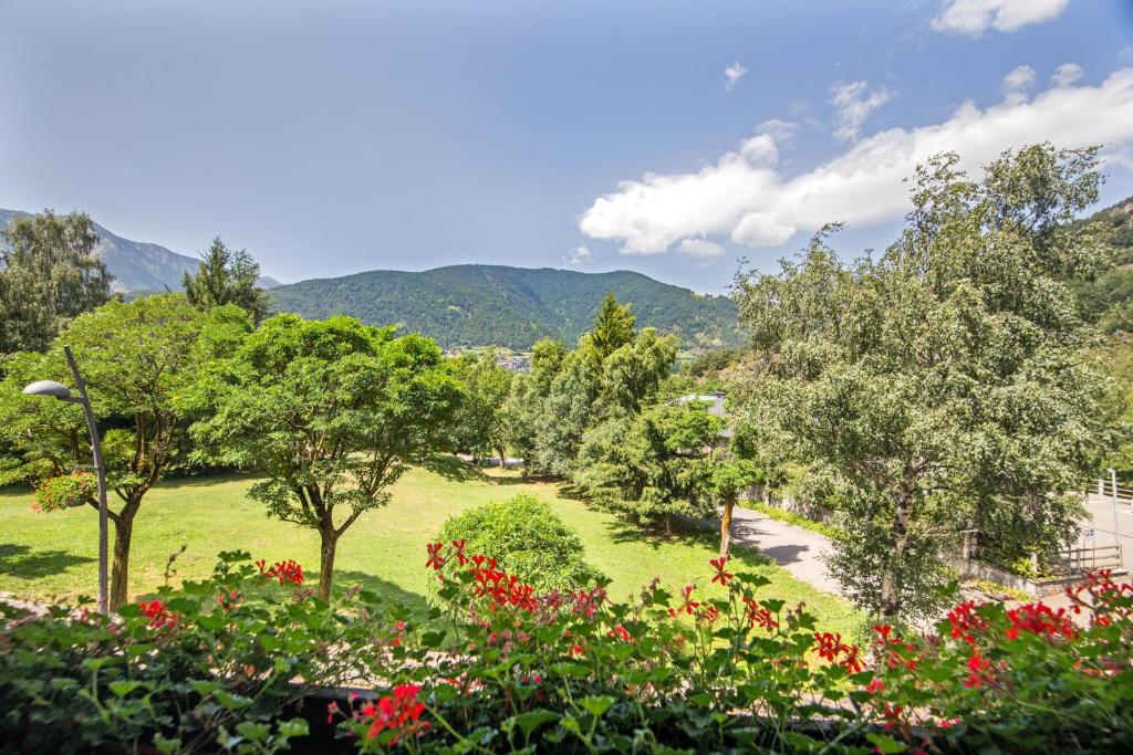 Surrounding environment