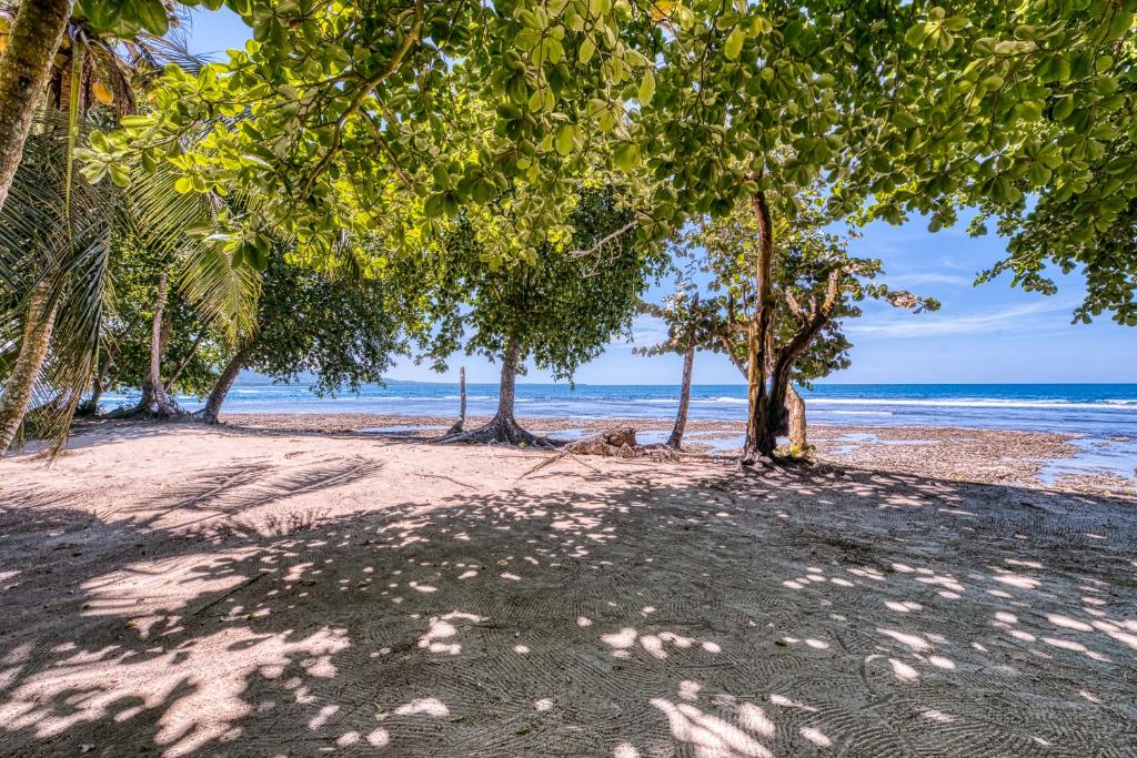 Surrounding environment, Yucca Beachfront Hotel in Puerto Viejo de Talamanca